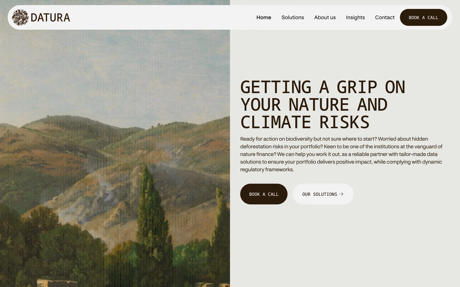 Screenshot of the previous Datura homepage: landscape painting and “Getting a grip on your nature and climate risks”